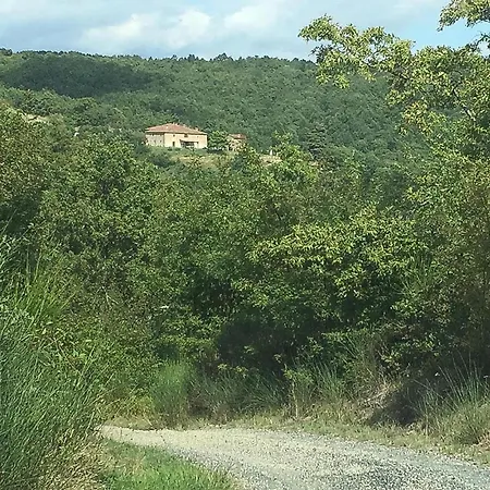 Cozy In With House A Panoramic View Σπίτι διακοπών